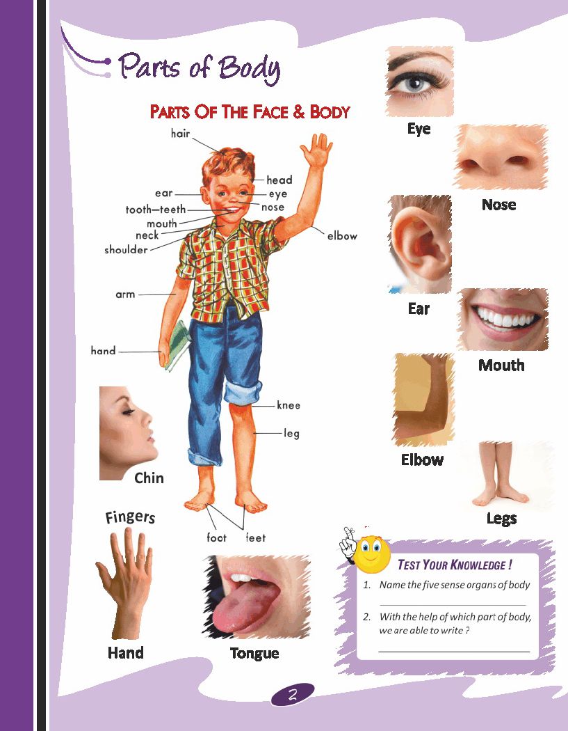 Picture Dictionary-C