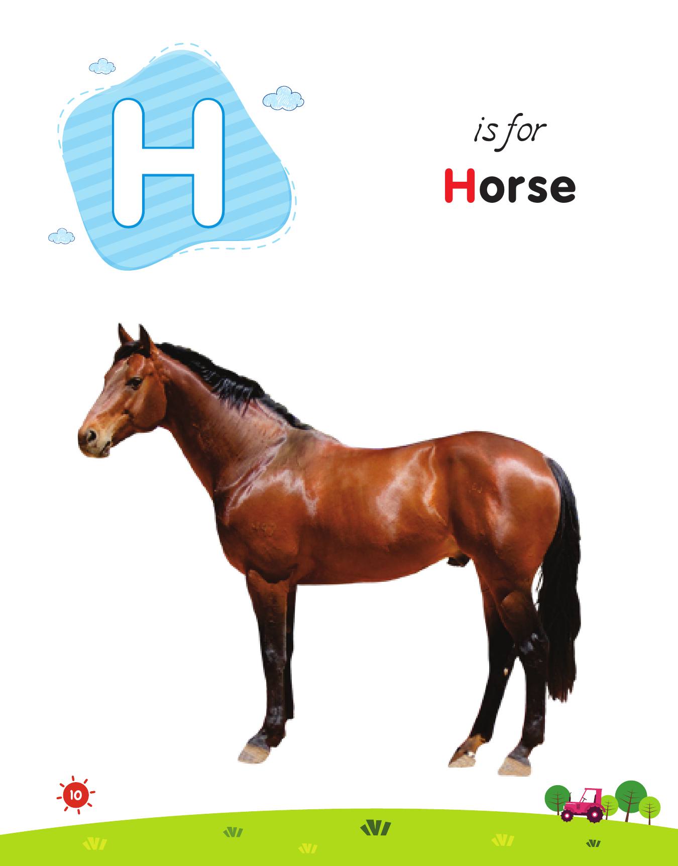 ALL IN ONE PRE NURSERY READING-PRE NURSERY